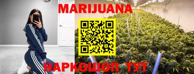 трава Кимры